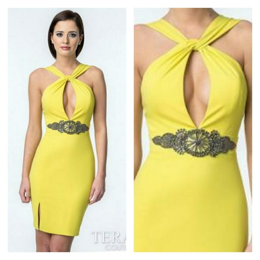 NWOT Terani couture cocktail dress