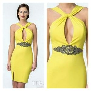 NWOT Terani couture cocktail dress