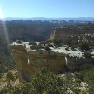 Meet your Posher, Marcus