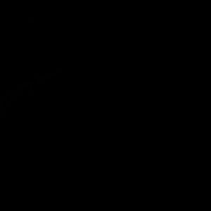 Meet your Posher, Nyeshia