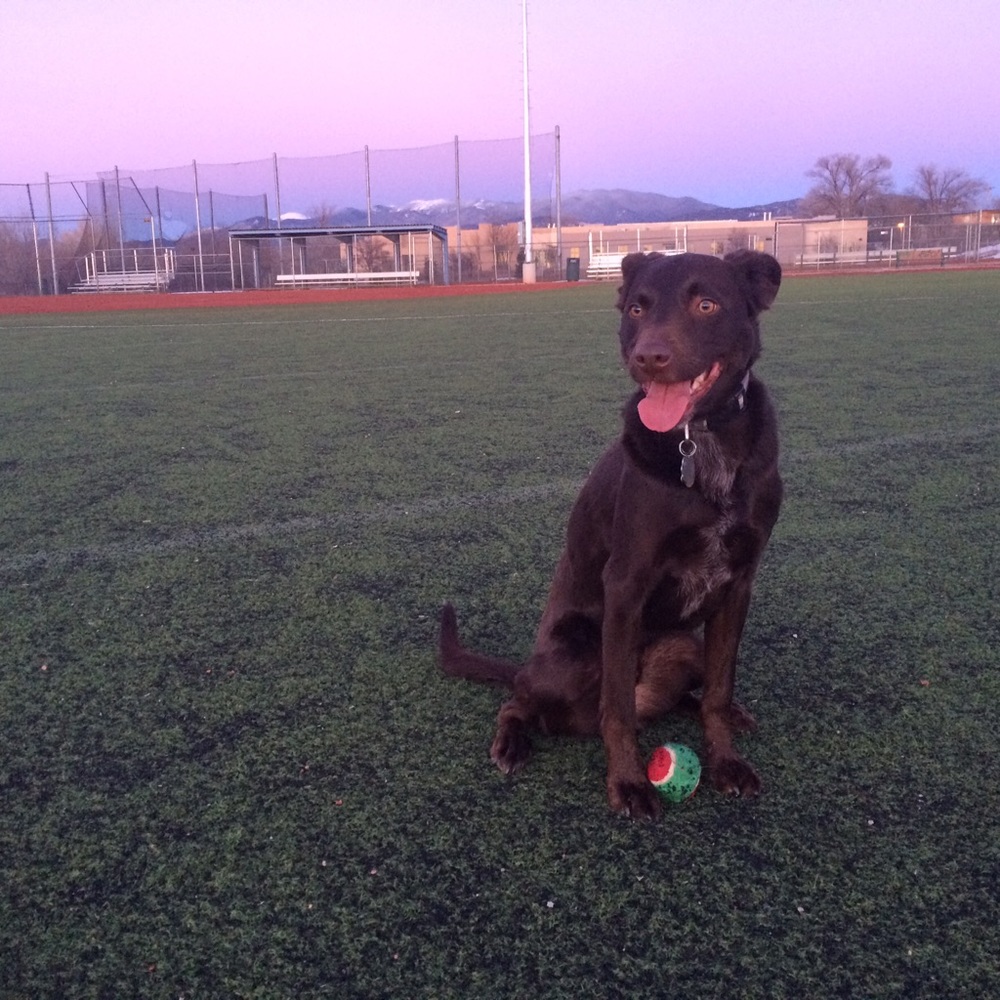 Meet your Posher, Peter