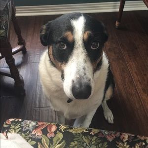 Meet your Posher, Patricia