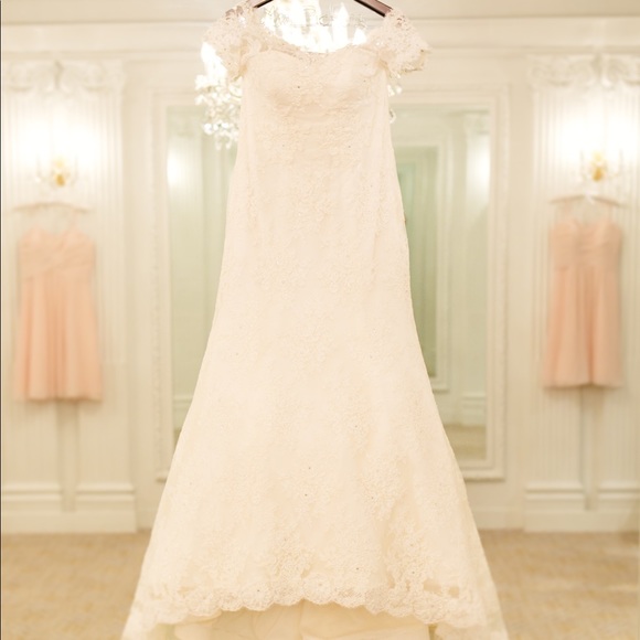 KLEINFELD bridal dress - Picture 7 of 8
