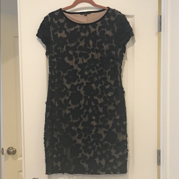 Navy Blue Dress - Nordstrom - Size Medium - Picture 1 of 5