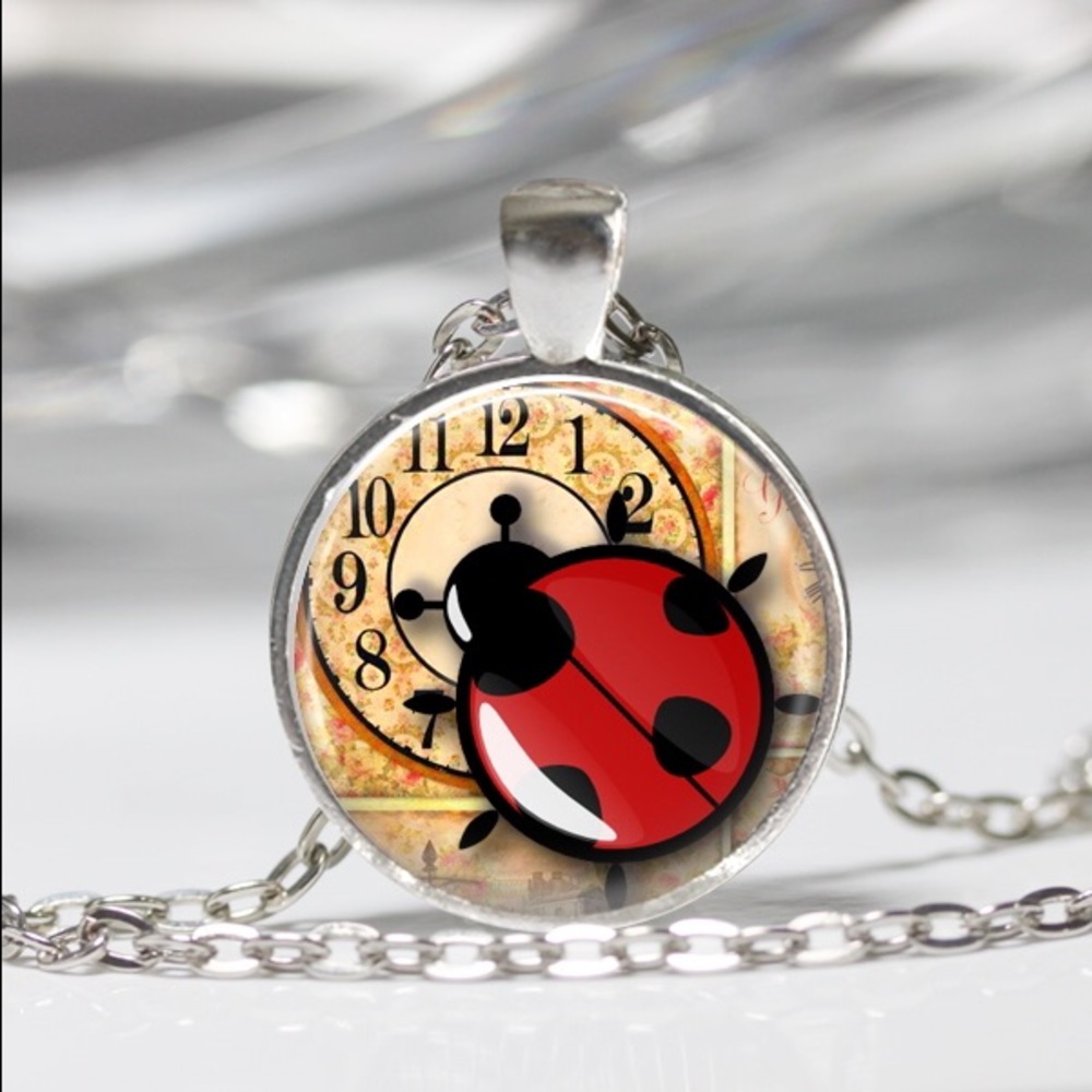 Ladybug and time pendant necklace. Round