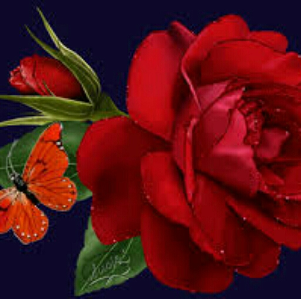 Meet your Posher, Merlyn