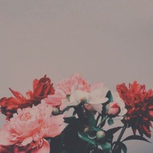 Meet your Posher, Ariel