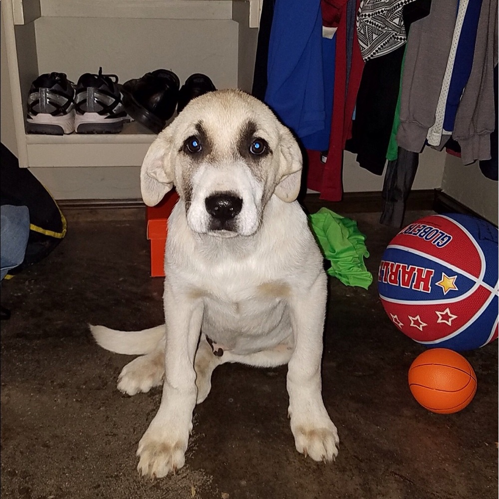 Meet your Posher, April