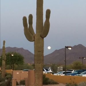 Meet your Posher, Kari