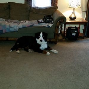 Meet your Posher, Gloria