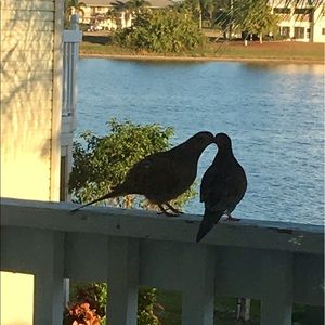 Meet your Posher, Mimi