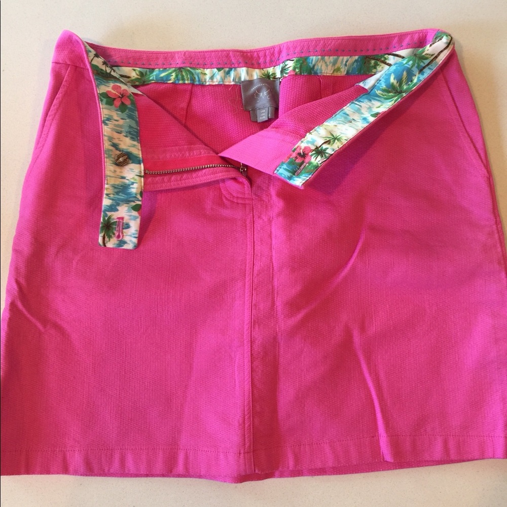 Anthropologie Mini Skirt