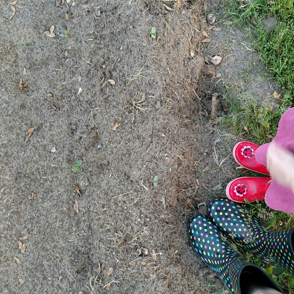 Meet your Posher, Tara