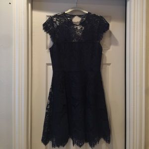 Navy Lace Fit & Flare Dress- B.B. Dakota