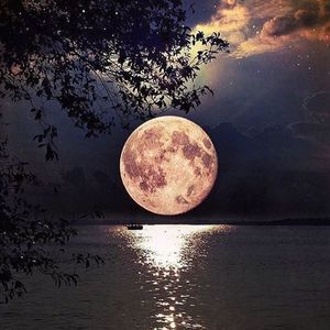 Meet your Posher, Olga