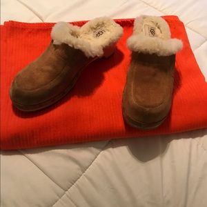 Ugg clogs