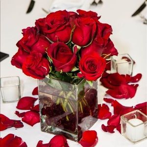 Meet your Posher, Starla