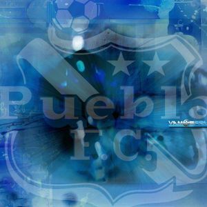 Meet your Posher, Ismael