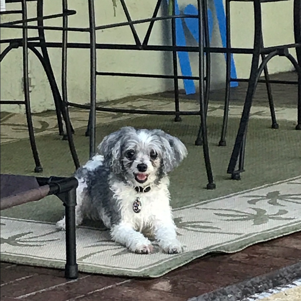 Meet your Posher, Ruby