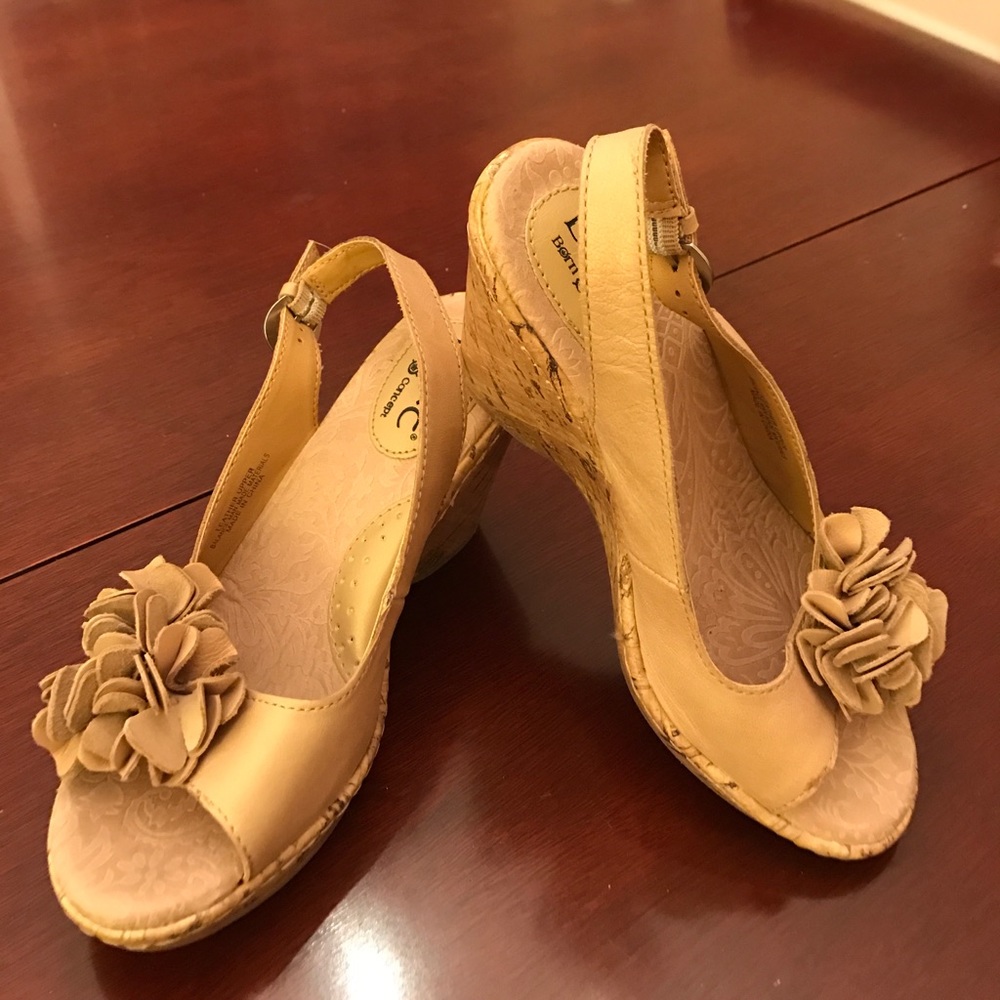 Born wedges