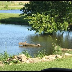 Meet your Posher, Stacy