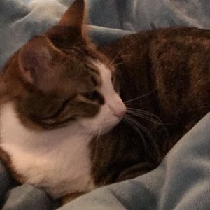 Meet your Posher, Aiden