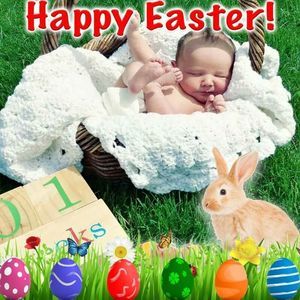 Meet your Posher, Nan