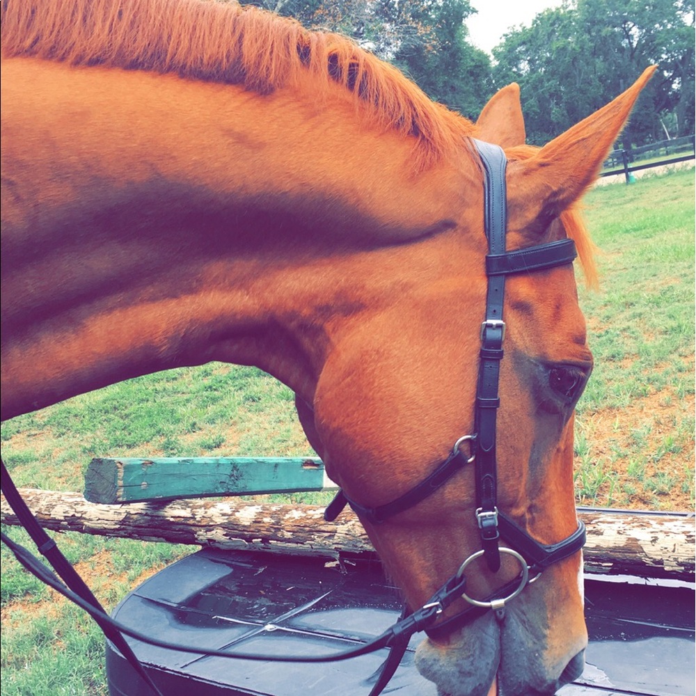 Meet your Posher, Shannon