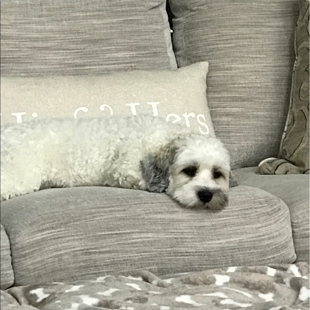 Meet your Posher, Arlene