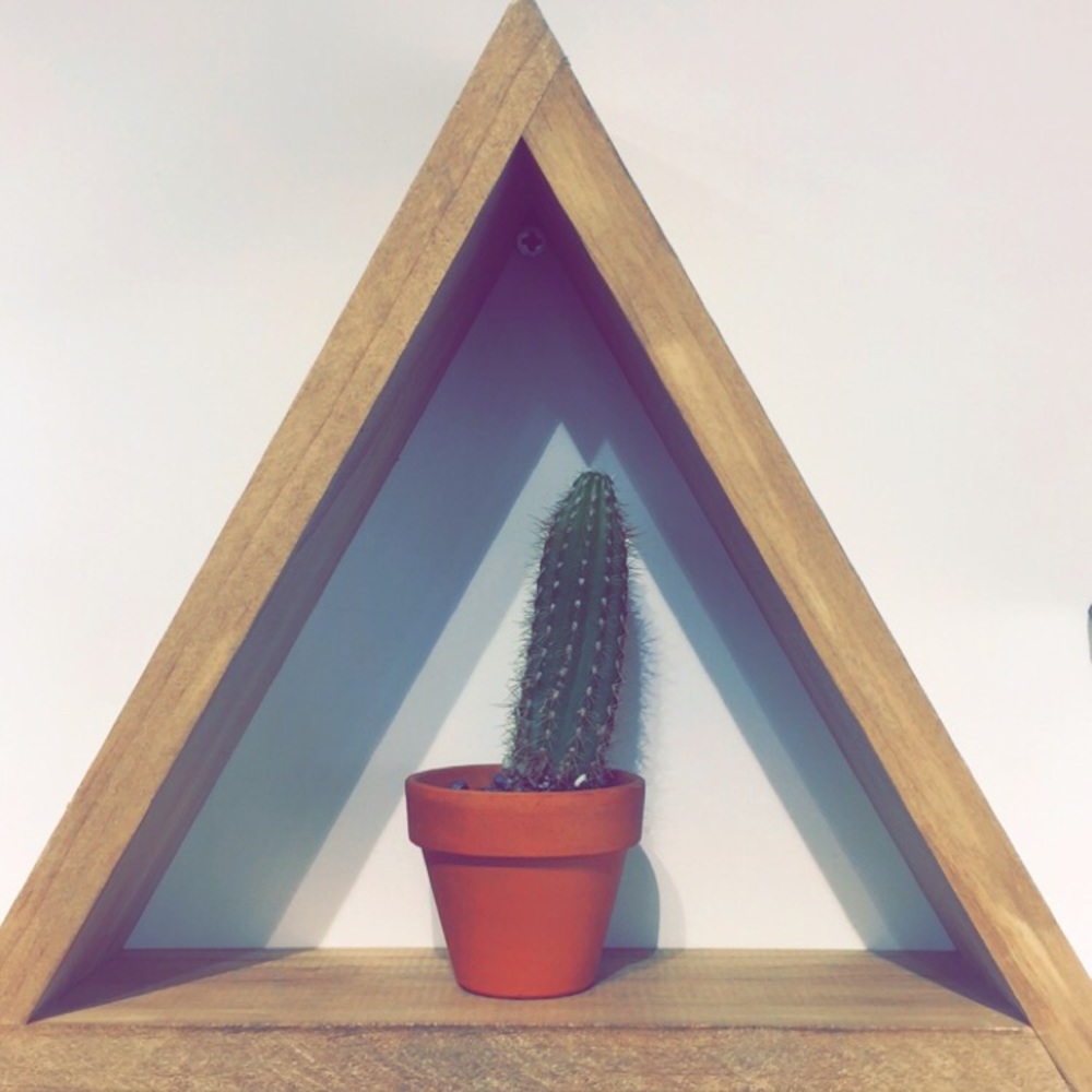 Meet your Posher, Sam