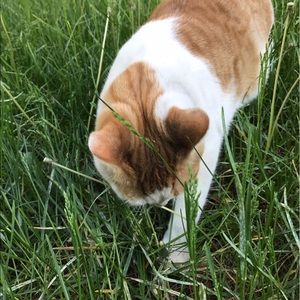 Meet your Posher, Phoebe