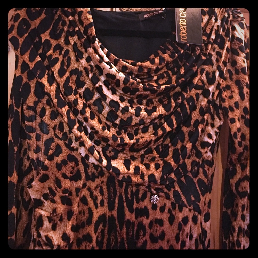 Roberto Cavalli dress GORGEOUS!