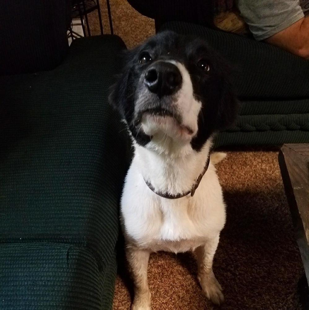 Meet your Posher, Alexis