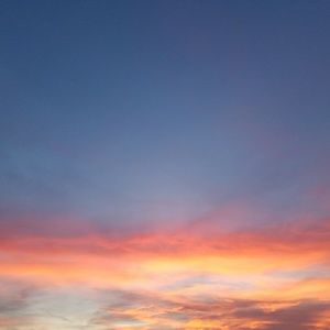 Meet your Posher, Maleisha