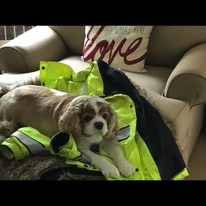 Meet your Posher, Stacy