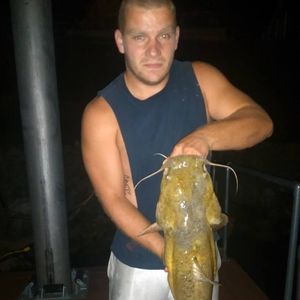 Meet your Posher, Robbie