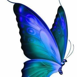 Meet your Posher, Kelli