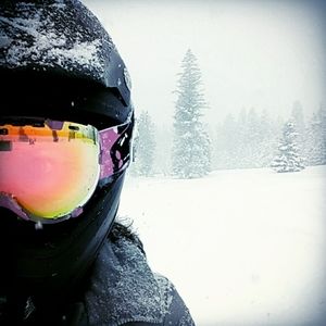 Meet your Posher, Bobbi