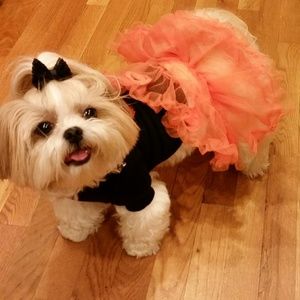 Meet your Posher, Tiana