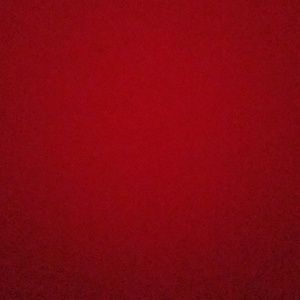 Meet your Posher, Rosanna