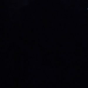 Meet your Posher, Roy