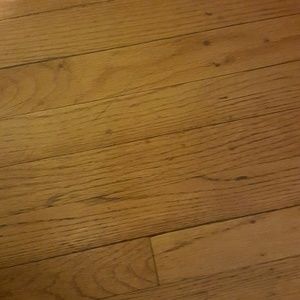 Meet your Posher, Desiree