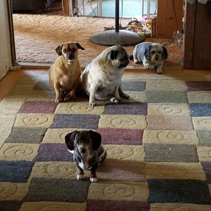 Meet your Posher, Sally