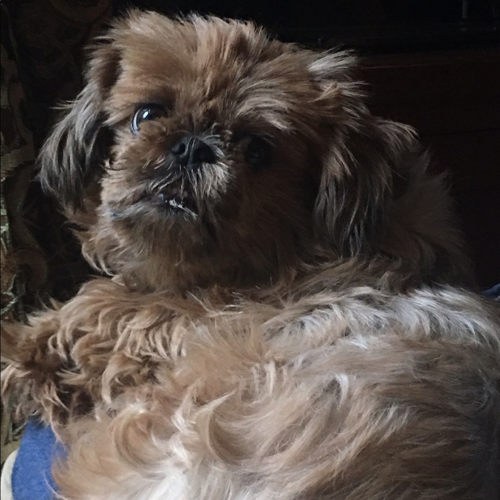 Meet your Posher, Becky