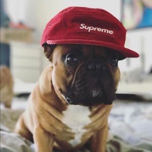 Meet your Posher, Francisco