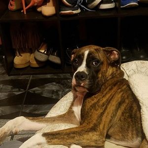 Meet your Posher, Alejandra