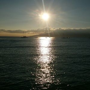 Meet your Posher, Avery