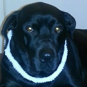 Meet your Posher, Quentace