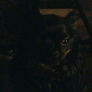 Meet your Posher, Barbara