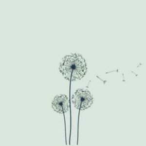 Meet your Posher, Marina